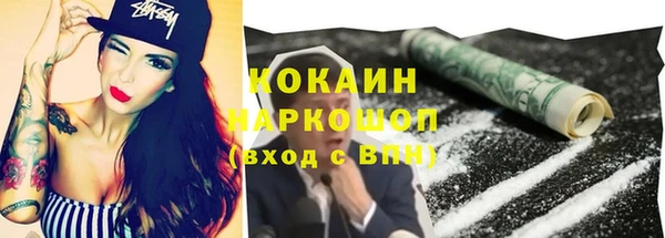 PSILOCYBIN Архангельск