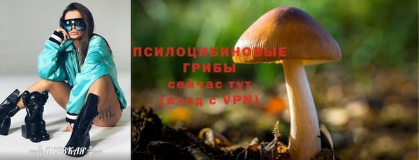 mix Лагань