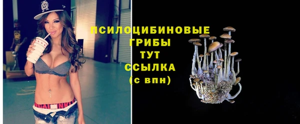 apvp Лабытнанги