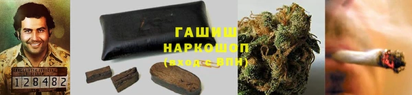 спиды Лиски