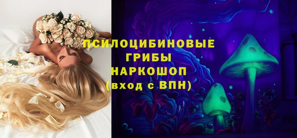 скорость Ладушкин
